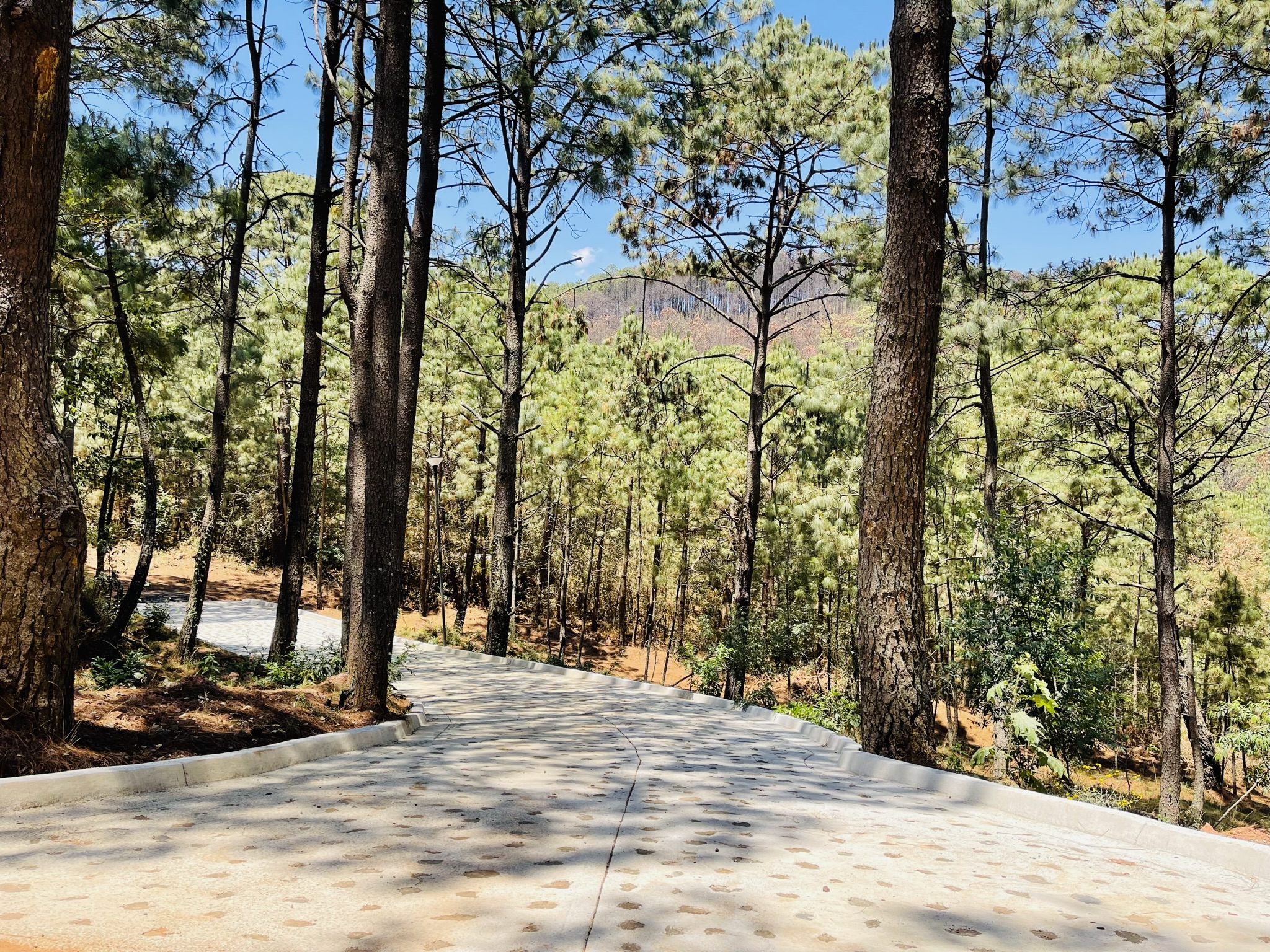 Destination Details